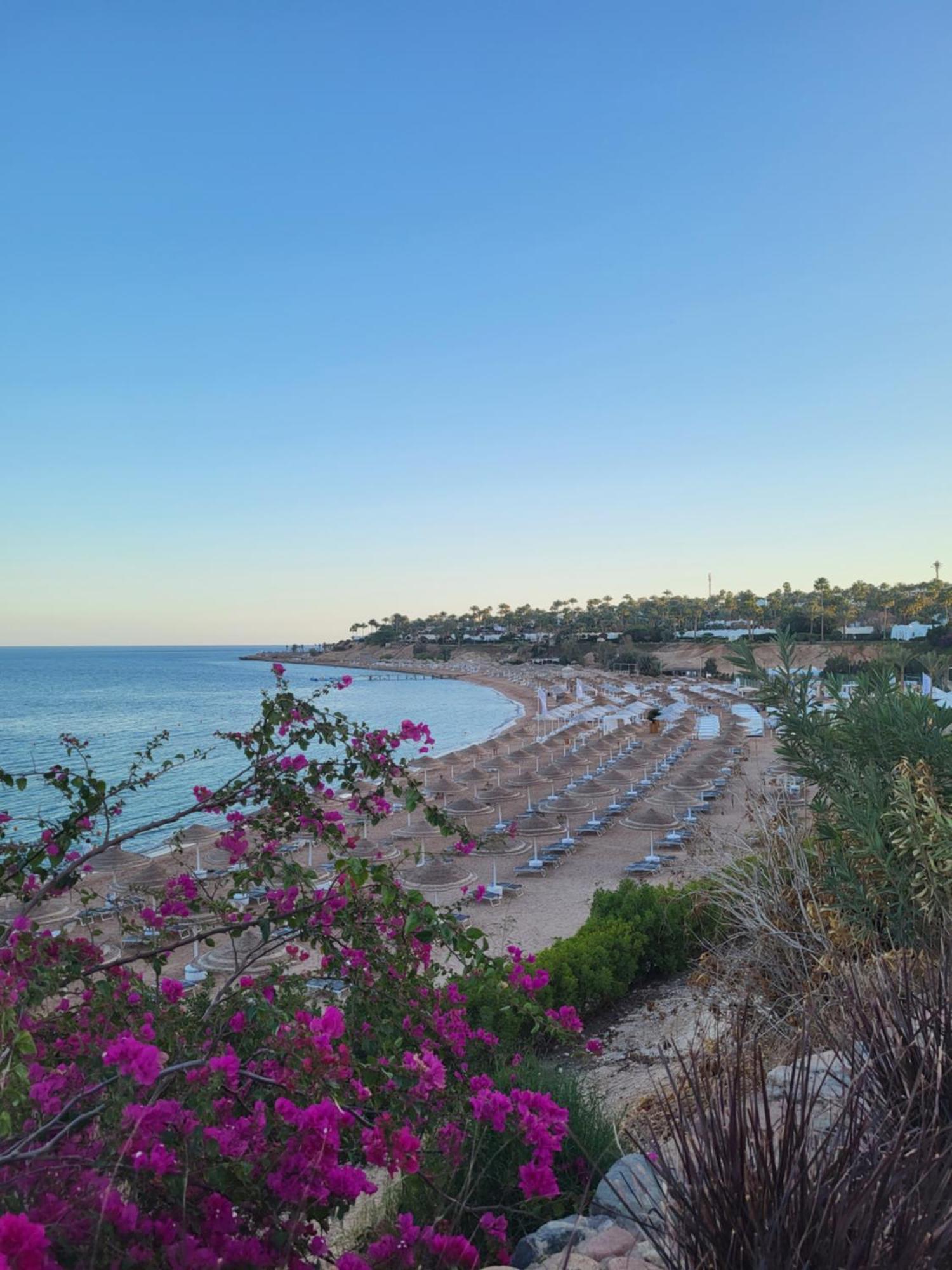 Domina Coral Bay * Sharm el-Sheikh