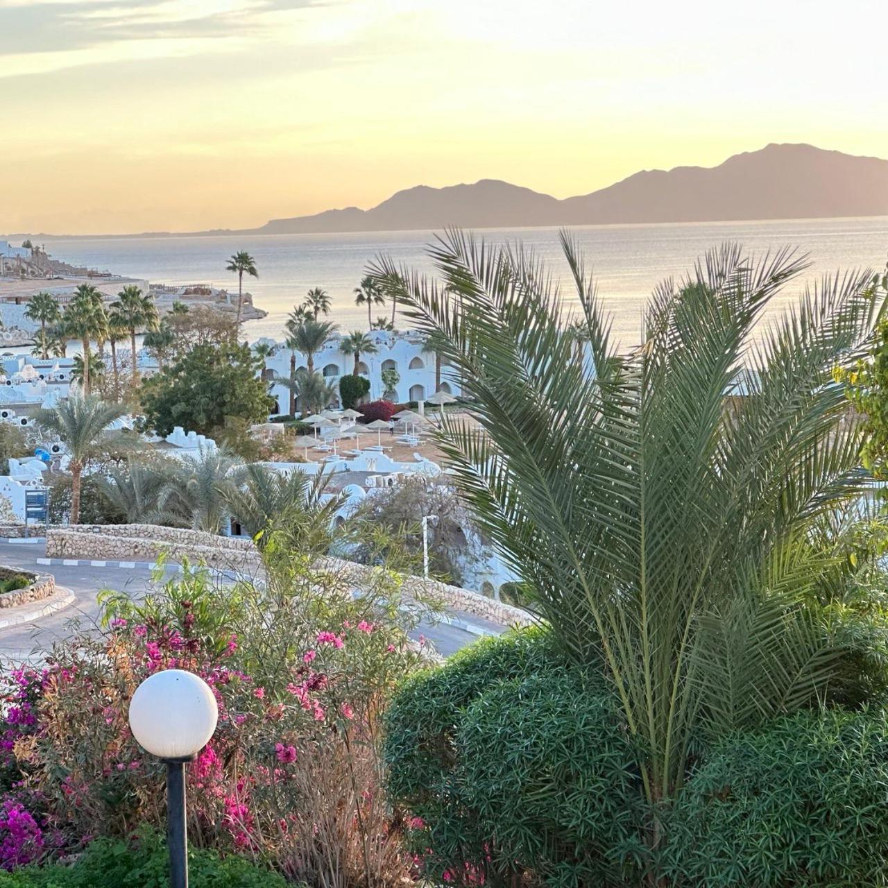Privata Anita Con Balcone,aquamarine Al Domina Coral Bay, Resort, Diving, & Casino Sharm el-Sheikh