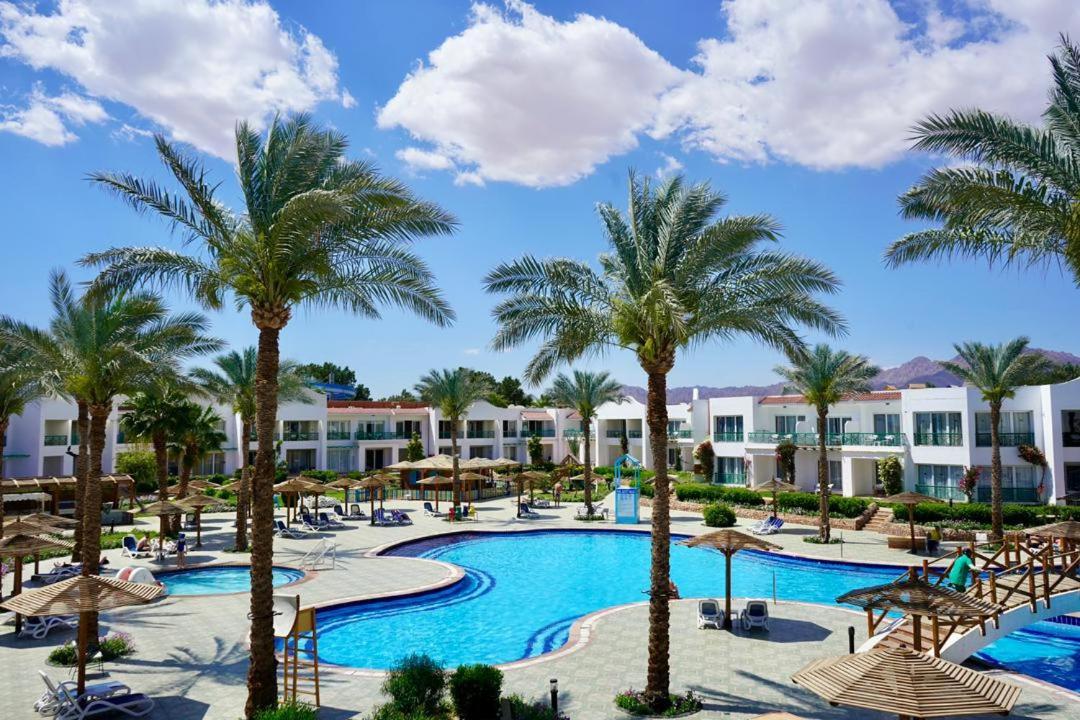 Resort Panorama Naama Heights