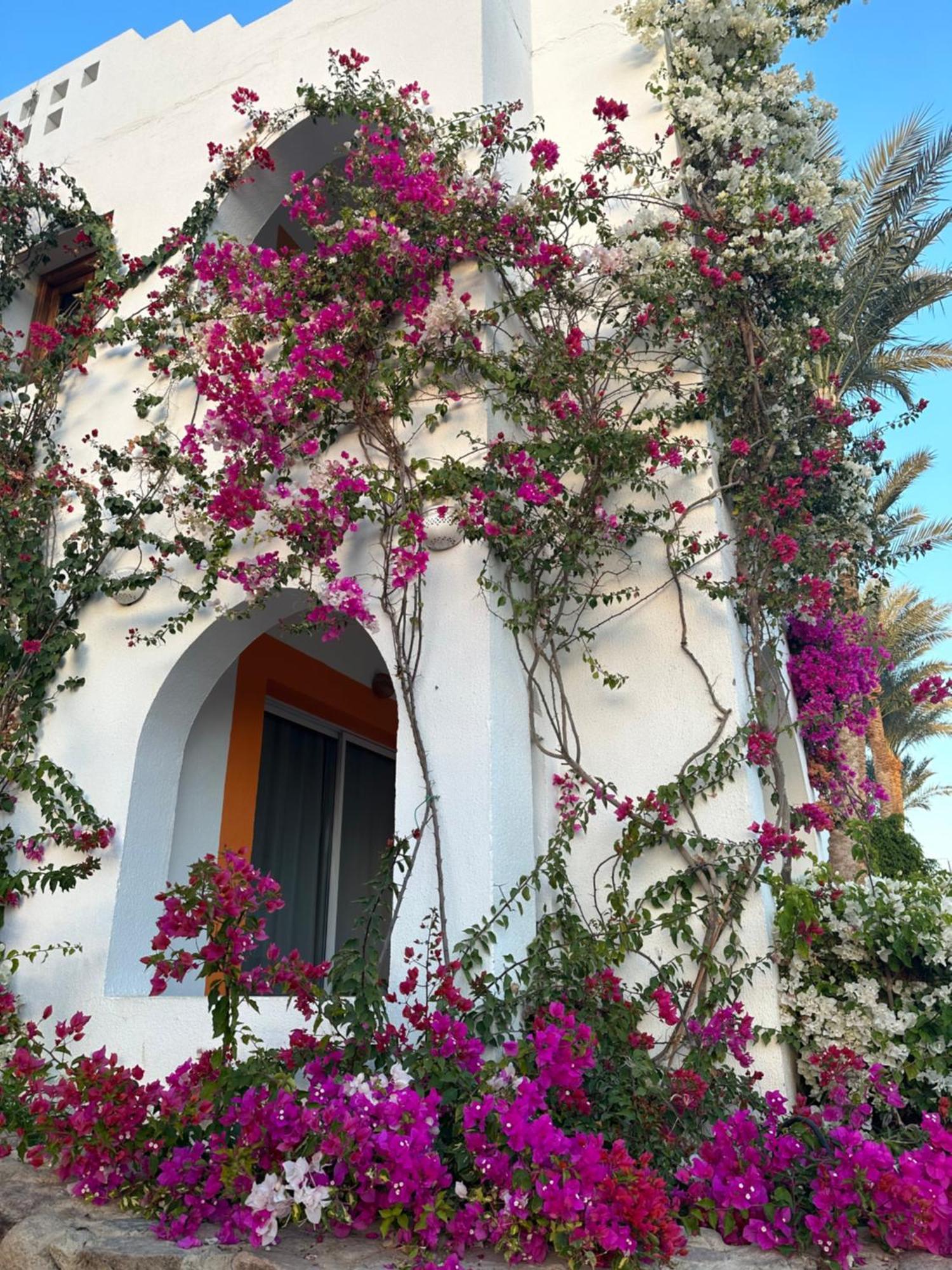 Apartment Domina Coral Bay Sultan-private Sharm el-Sheikh
