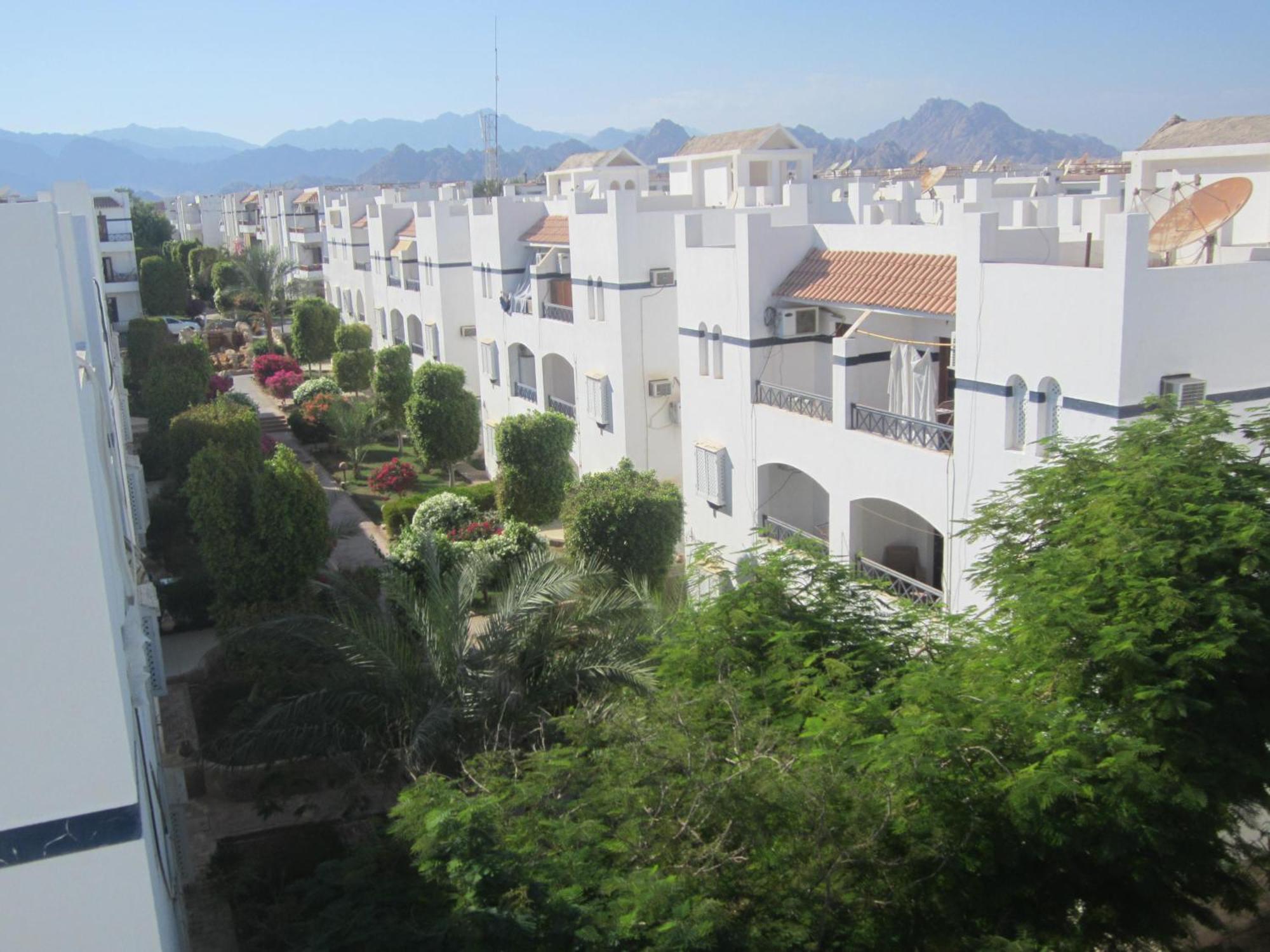 Rivera Habiba * Sharm el-Sheikh