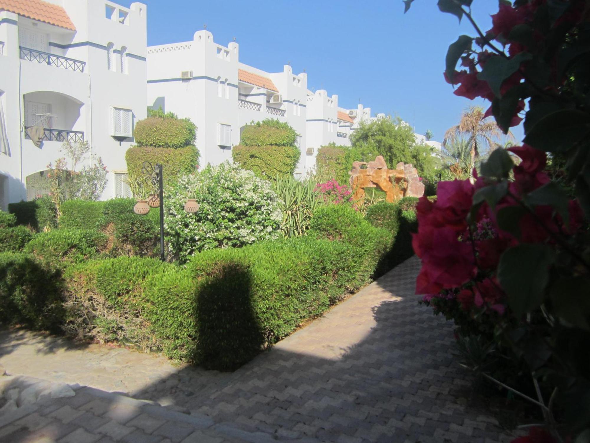 Apartment Rivera Habiba