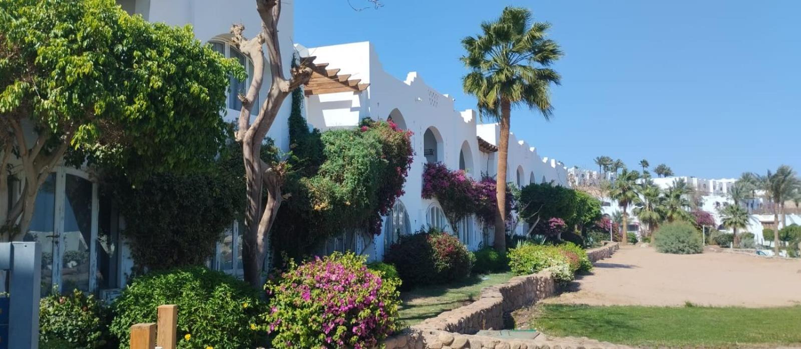 Privata Al Domina Club Acquamarine, Coral Bay, E Casino.