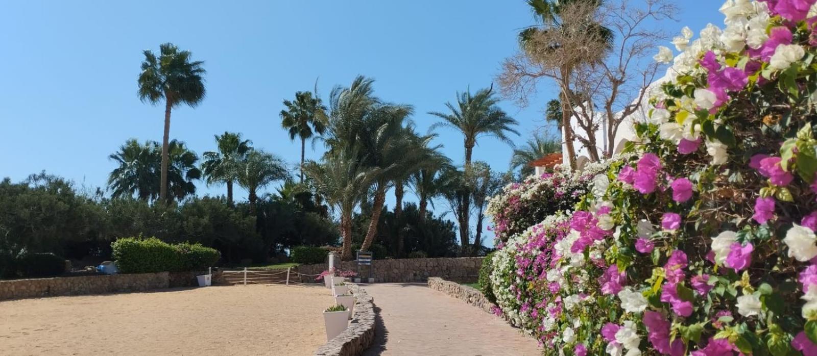 Privata Al Domina Club Acquamarine, Coral Bay, E Casino. Sharm el-Sheikh