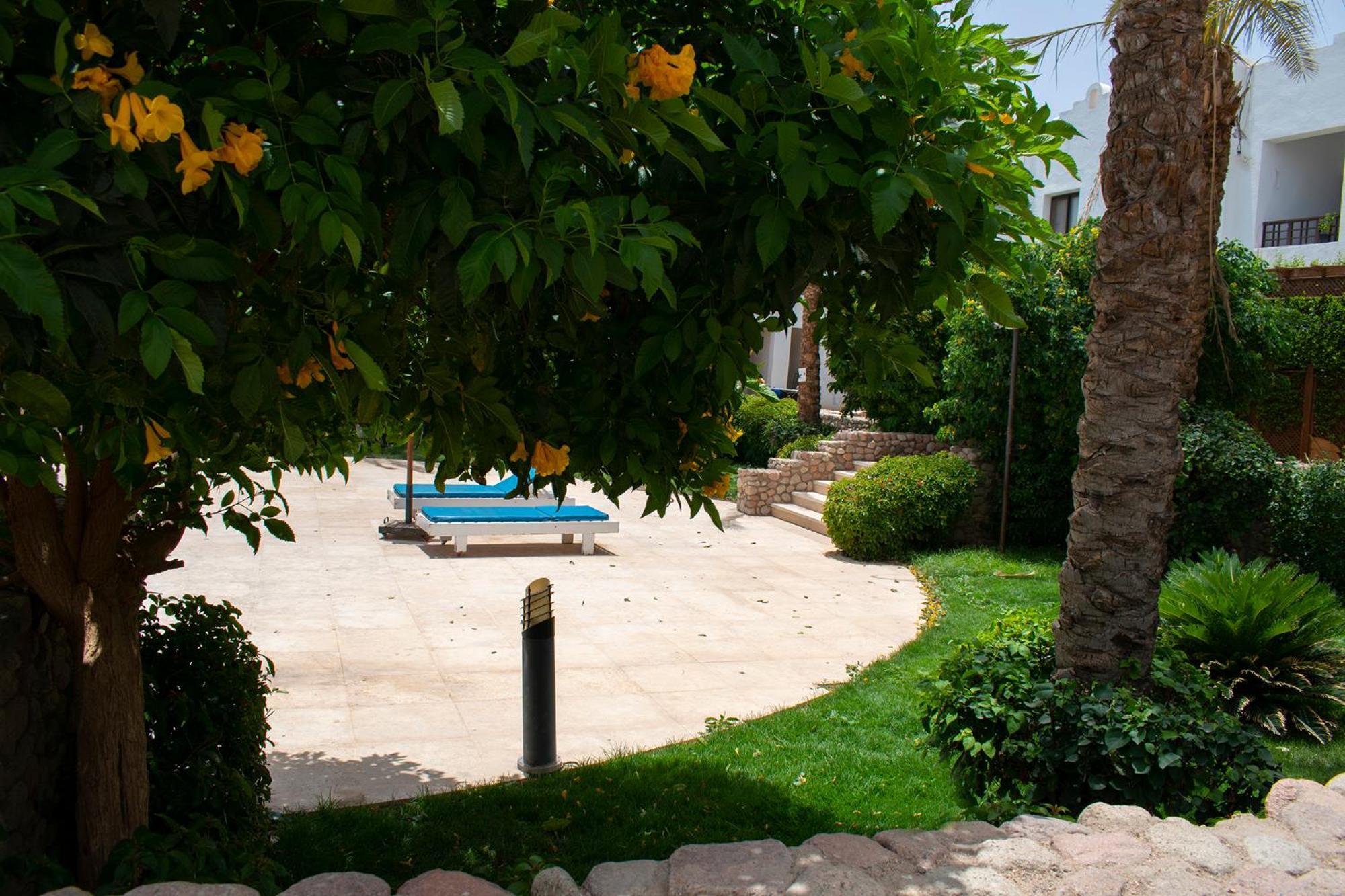 Apartment Cozy In The Center Of Sheikh *