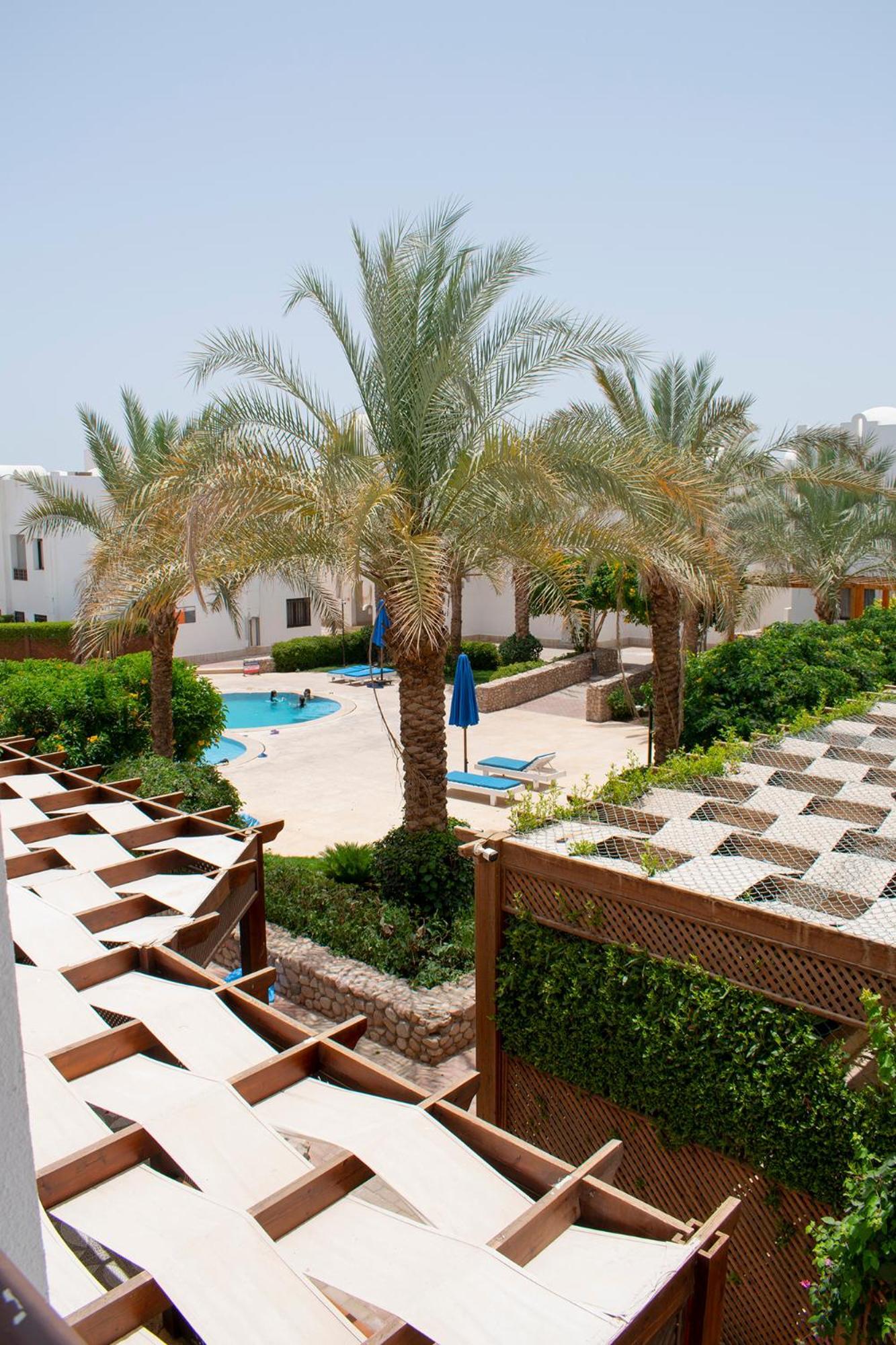 Apartment Cozy In The Center Of Sheikh *