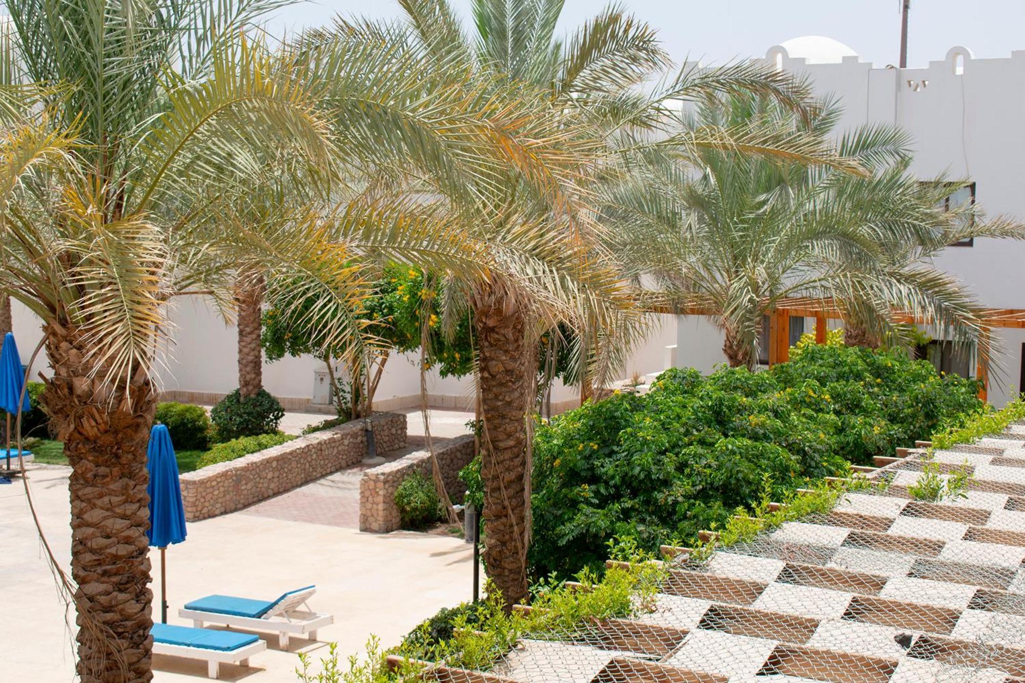Apartment Cozy In The Center Of Sheikh *
