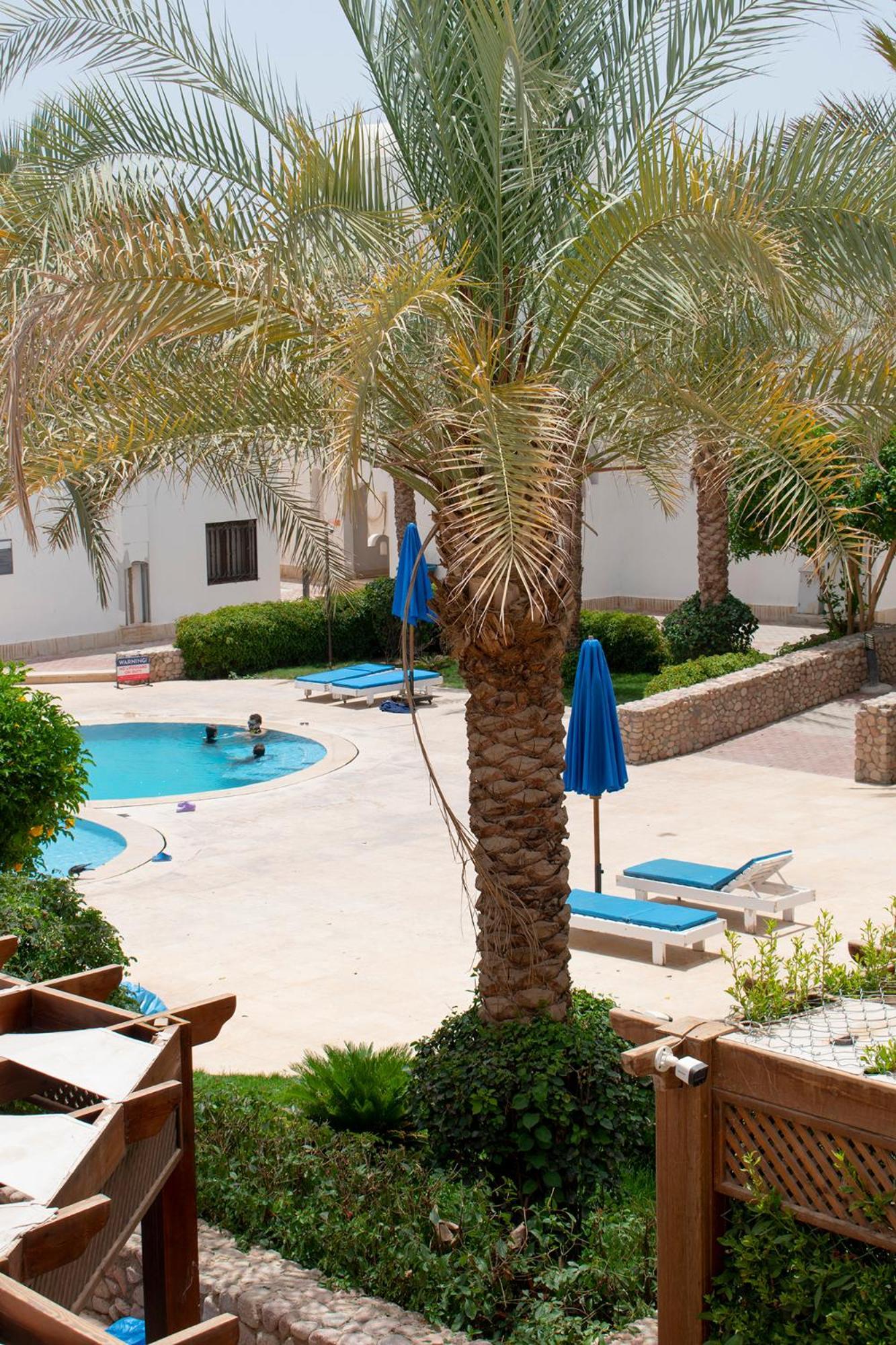 Apartment Cozy In The Center Of Sheikh