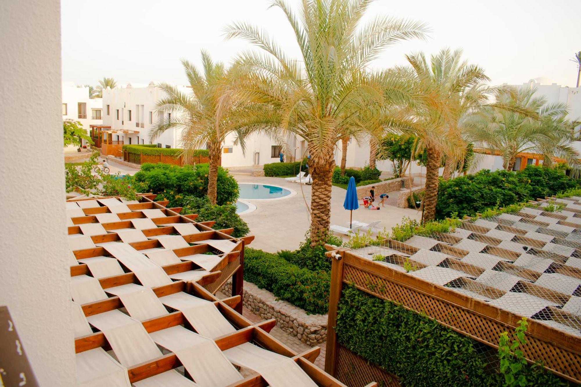 Apartment Cozy In The Center Of Sheikh