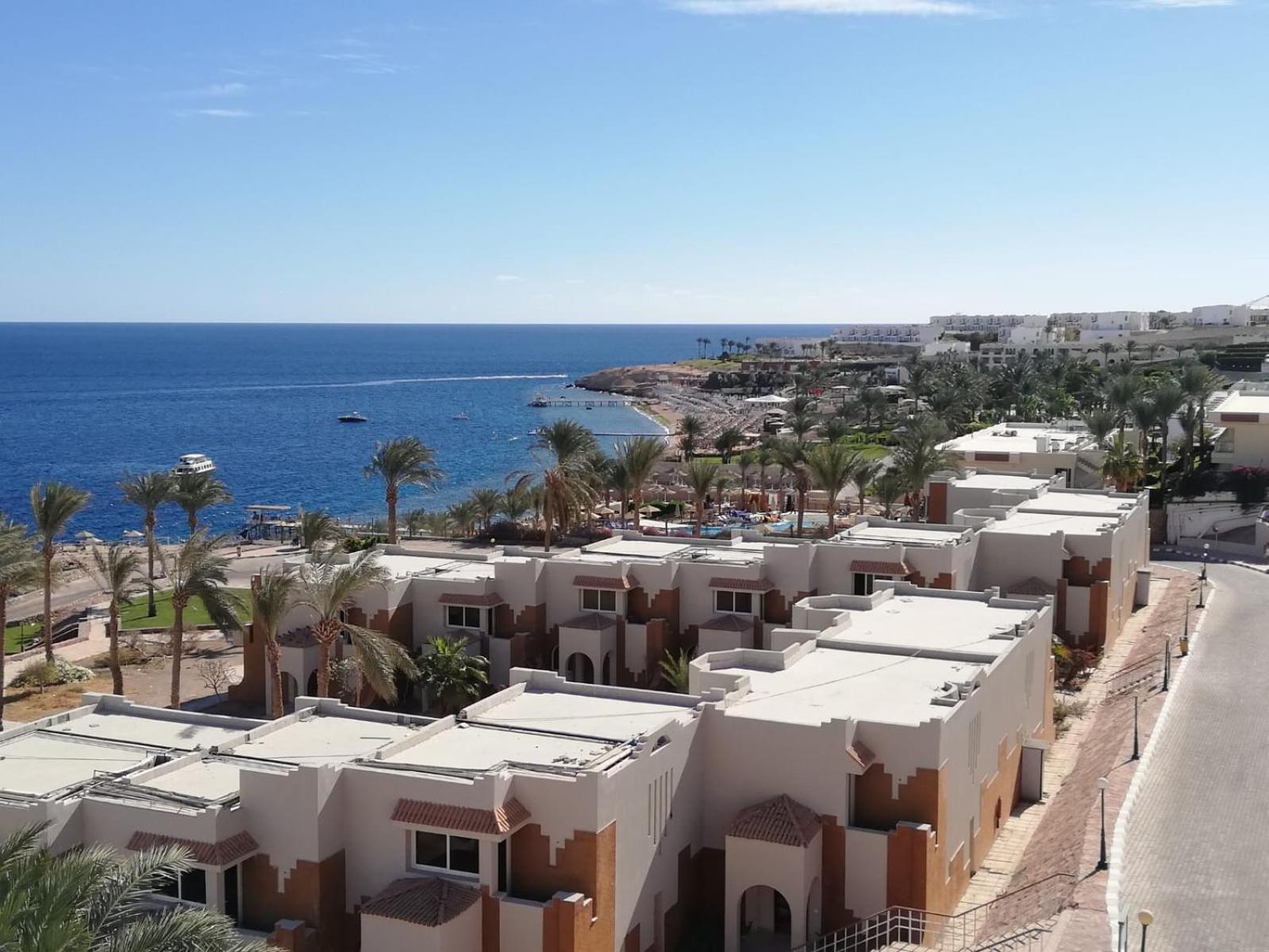 Nemo, Vista Mare, Sharks Bay, Sheikh *