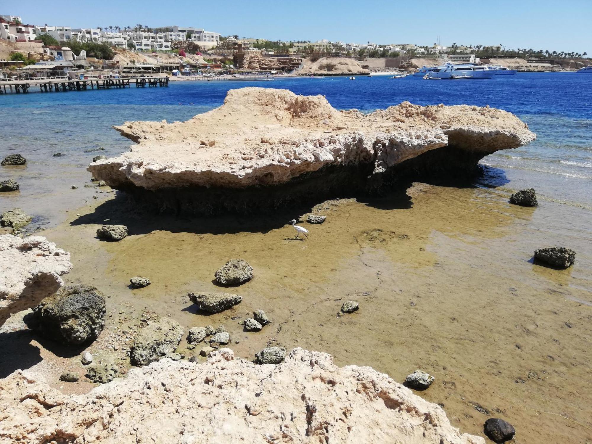 Nemo, Vista Mare, Sharks Bay, Sheikh Sharm el-Sheikh