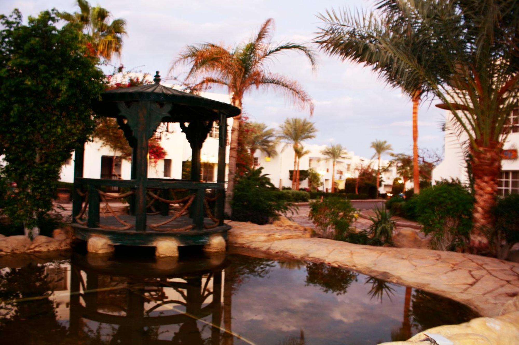 Lovely @delta Between Naama Bay &old Market Apartment *