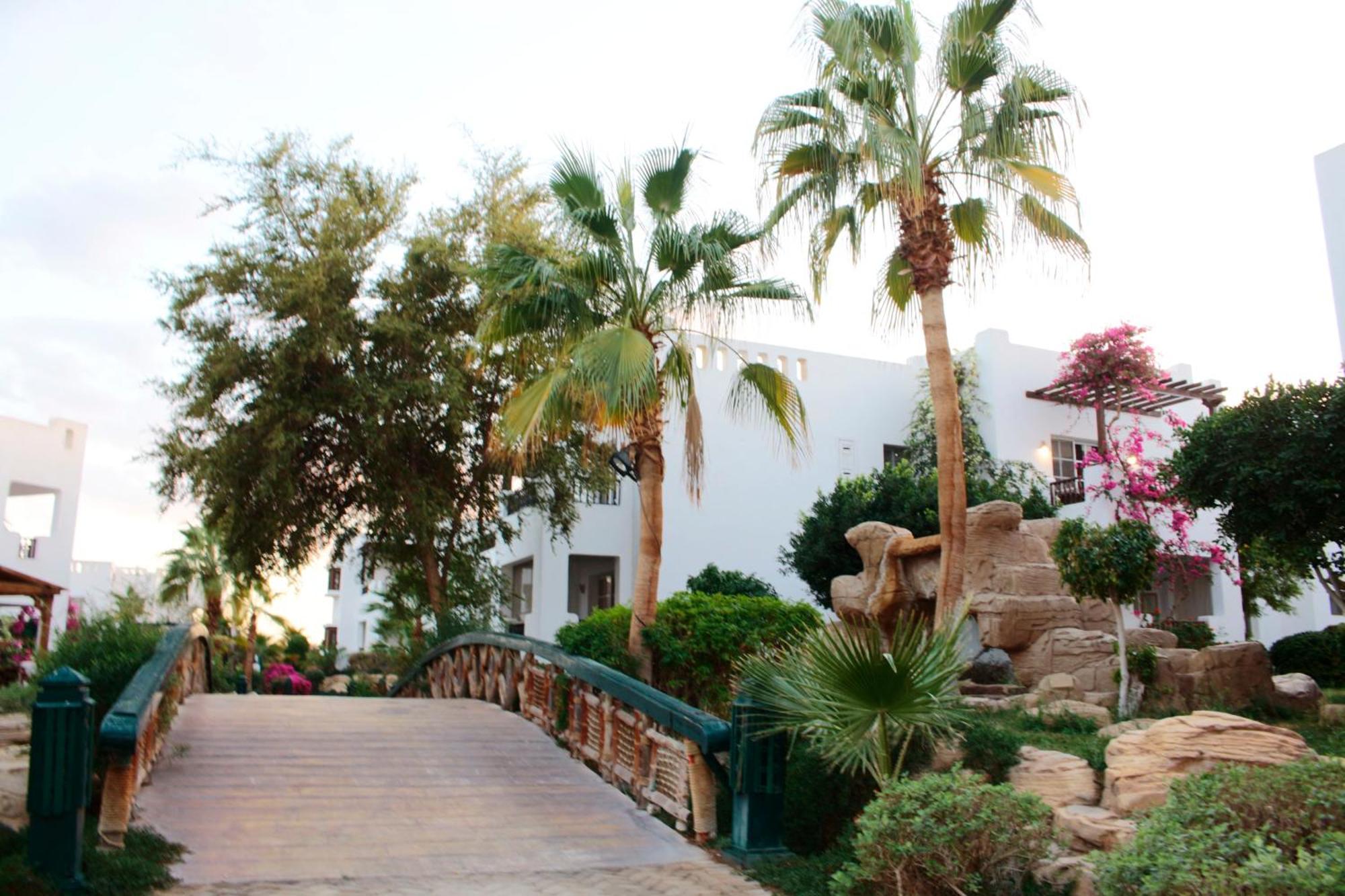 Lovely @delta Between Naama Bay &old Market Sharm el-Sheikh