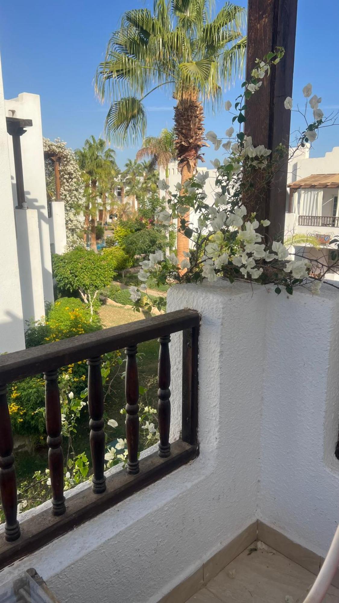 Apartment Delta Sheikh