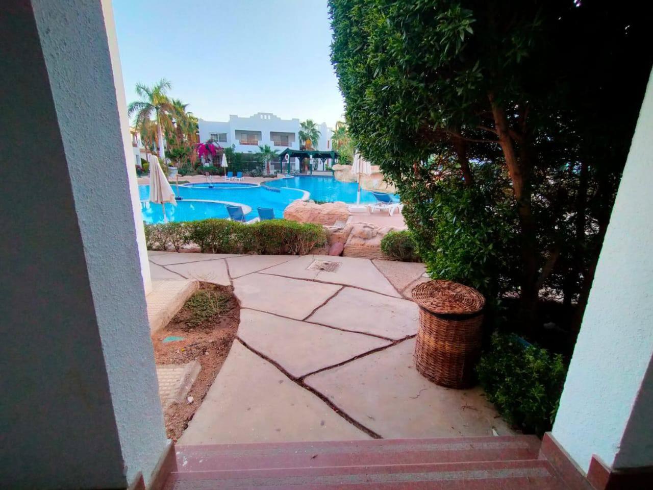 Apartment Vip *