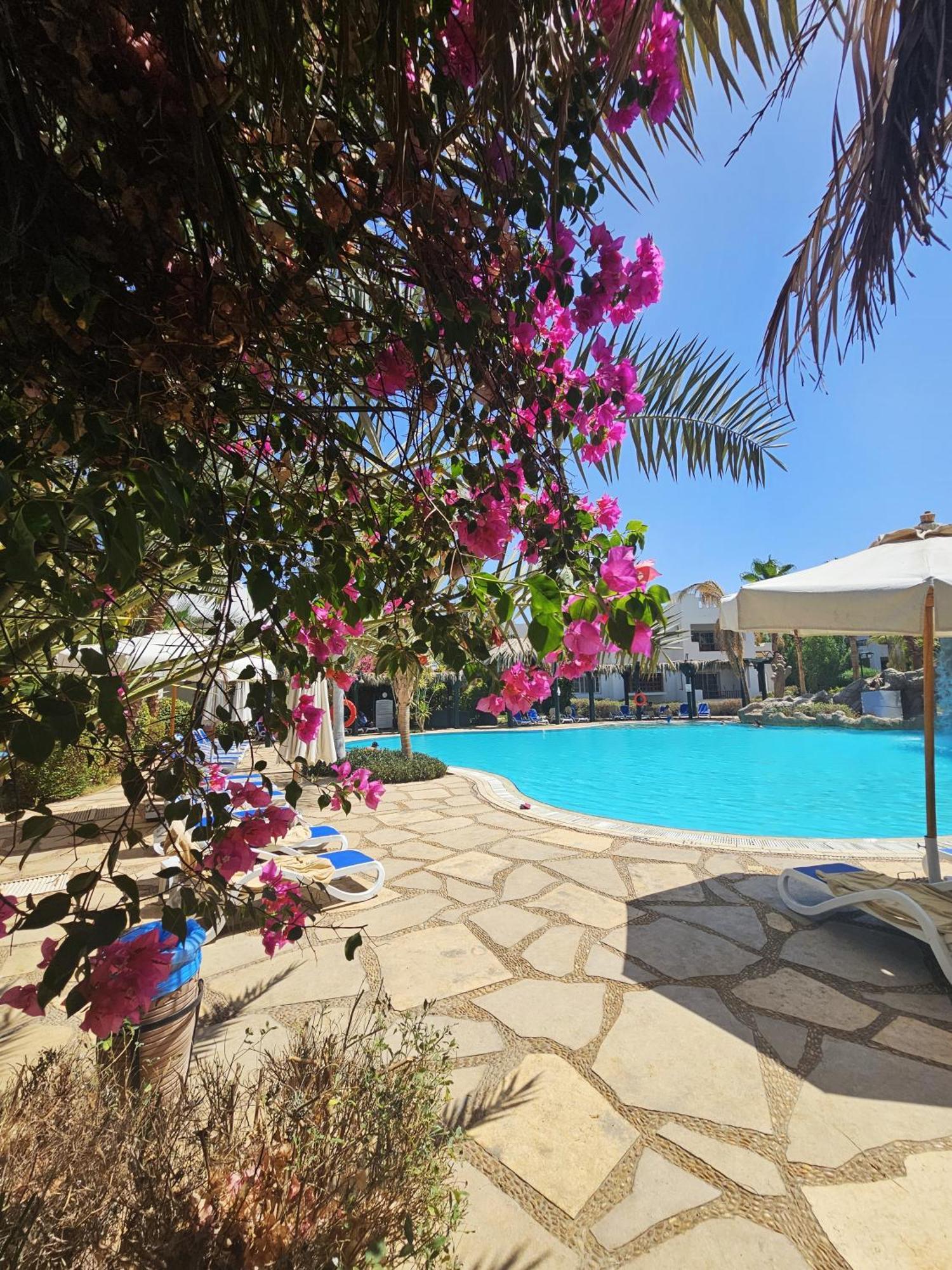 Blue Bay Delta Apartment *