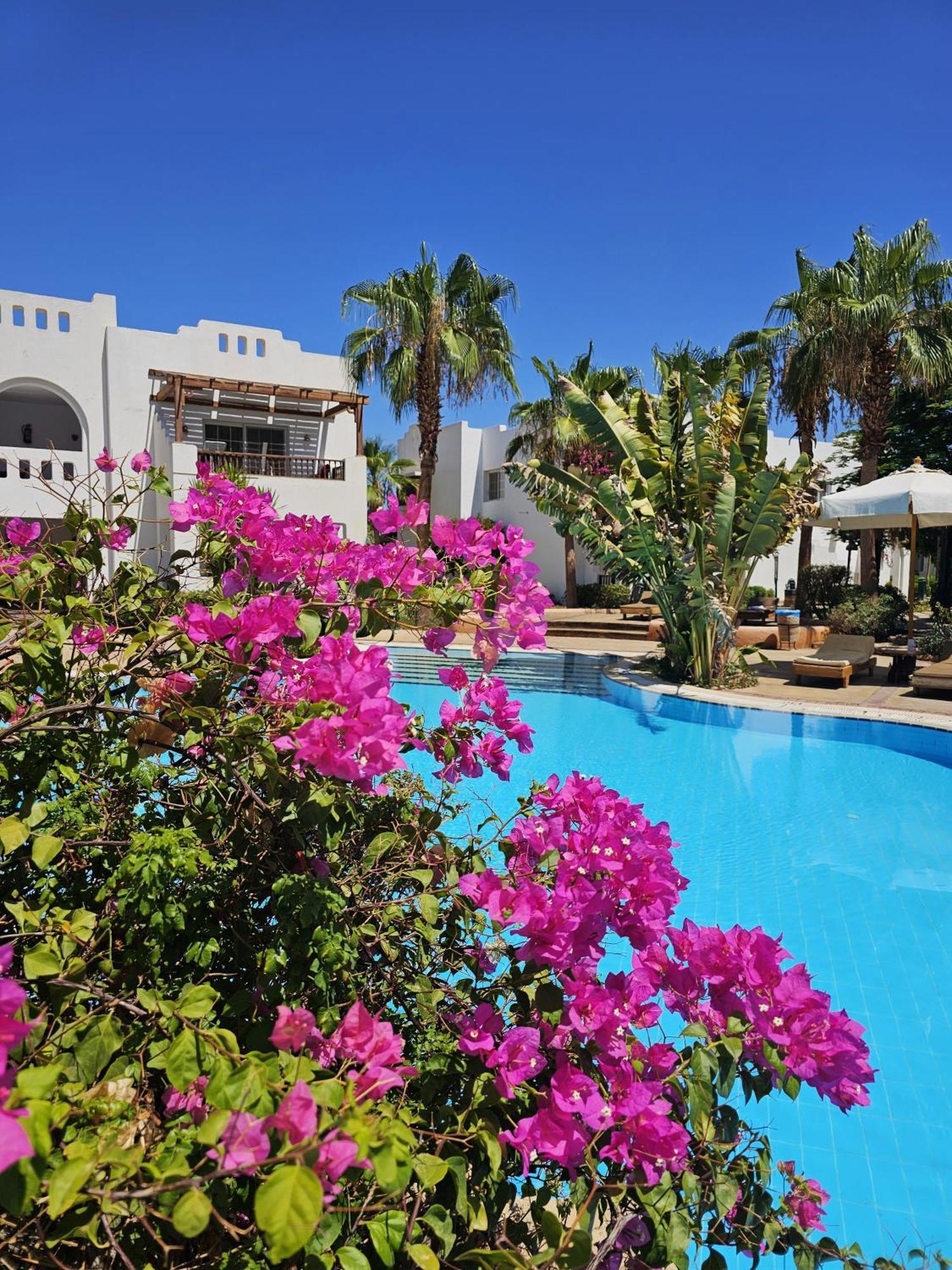 Apartment Blue Bay Delta Sharm el-Sheikh
