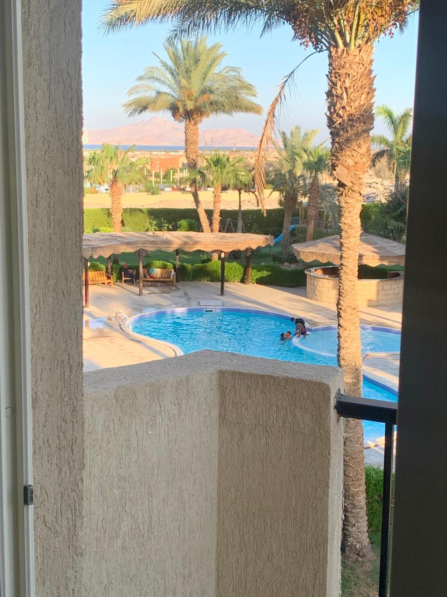 Mosaic Agency El-shaikh * Sharm el-Sheikh