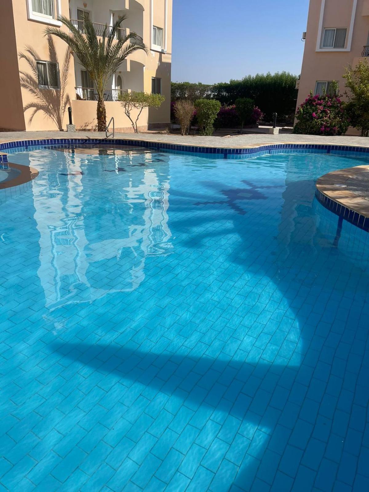 Apartment Egyptian Experience *