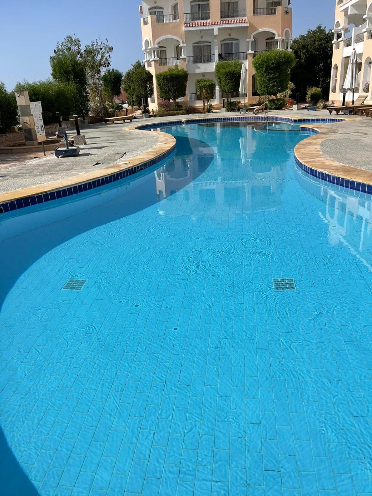Egyptian Experience Apartment