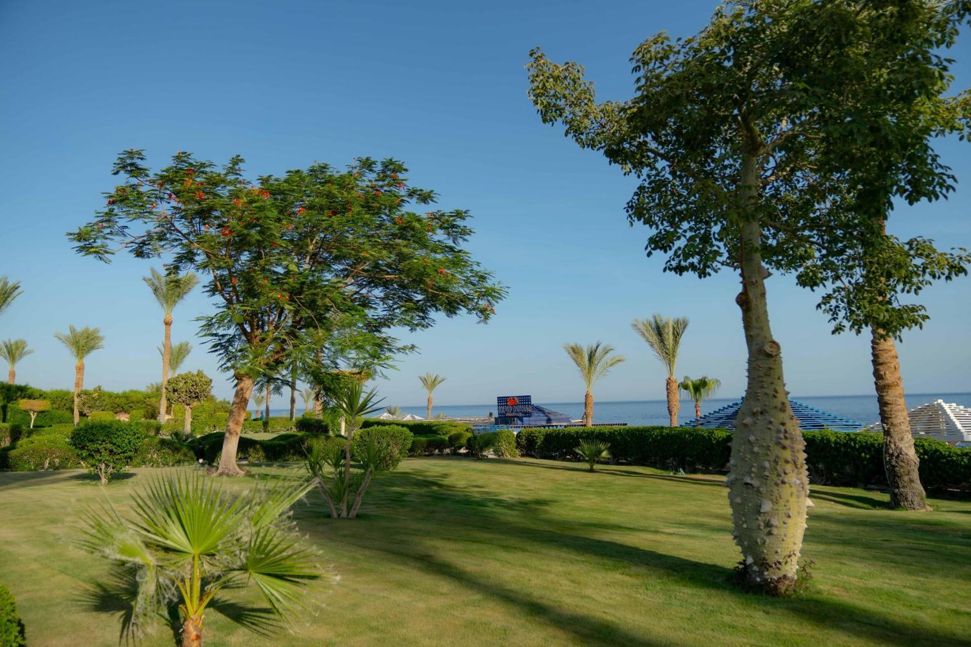 Grand Oasis Sharm el-Sheikh