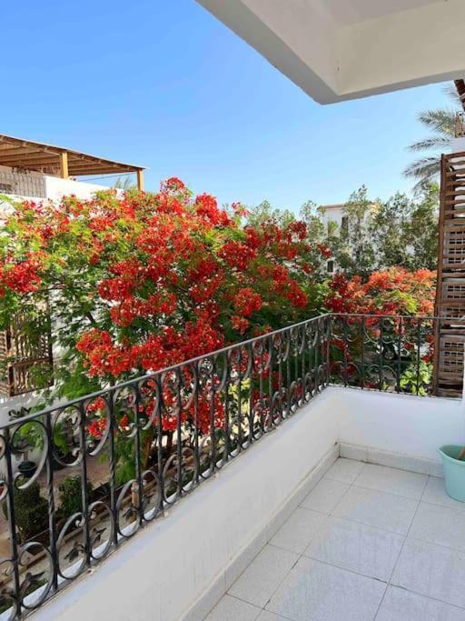 Amazing 2-bed Private With Shared Pools Apartment Sharm el-Sheikh