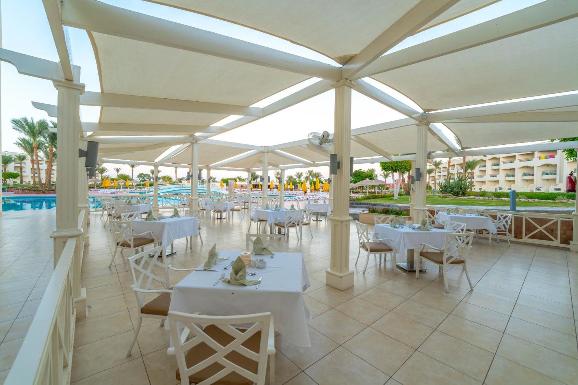 Aurora Oriental Sheikh