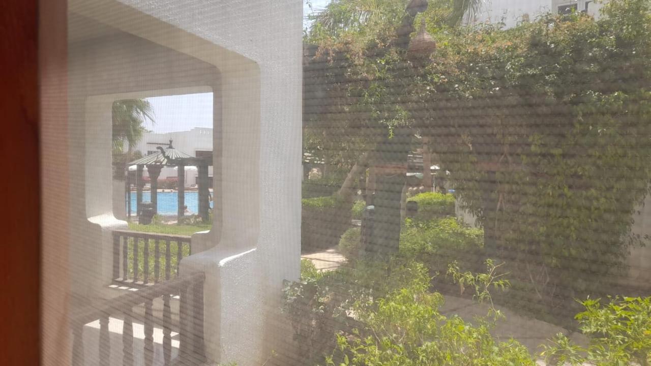 Delta Pool View Shahrazad