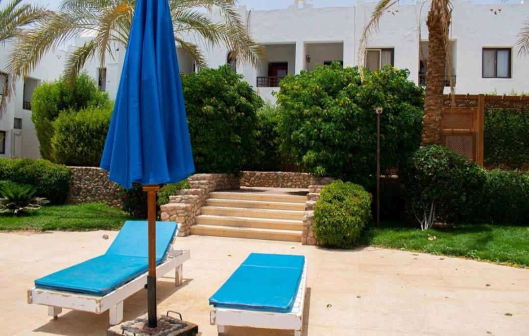 Urban Reef * Şarm El-Şeyh