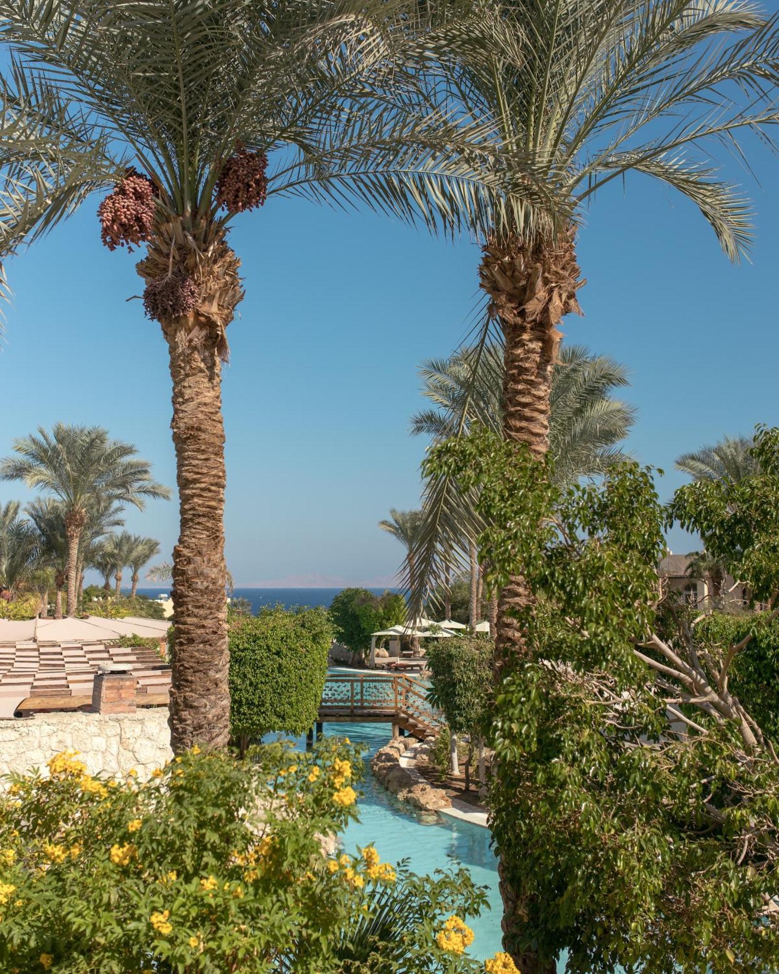 The Grand Sheikh Resort Şarm El-Şeyh