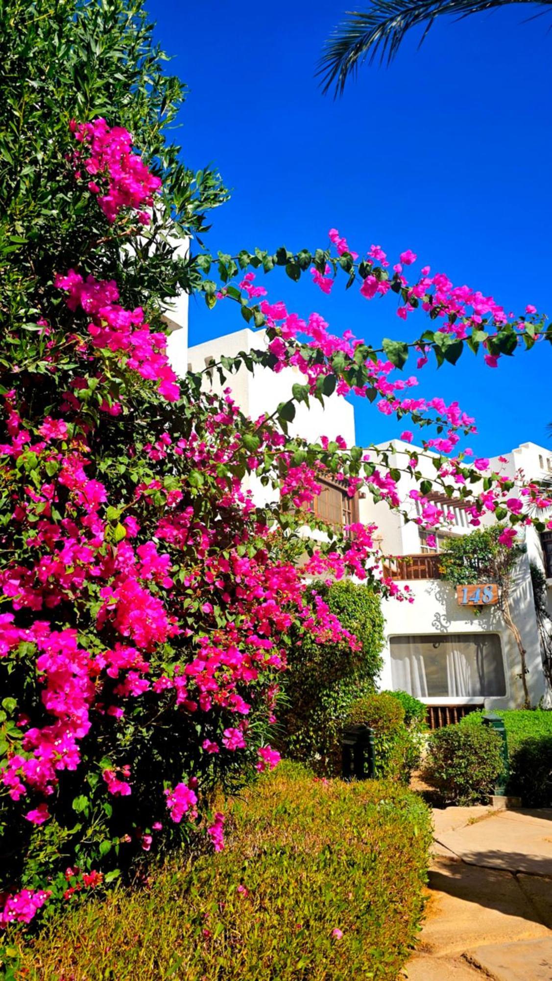 Apartment Blue Bay Delta *