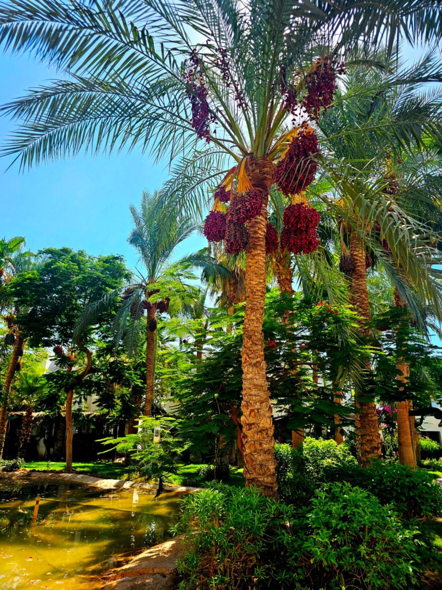 Blue Bay Delta Apartment *