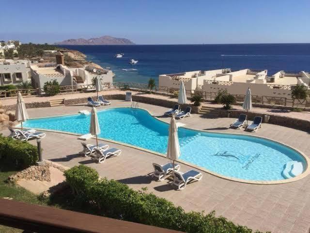Hotel Sharks Bay Oasis 4*