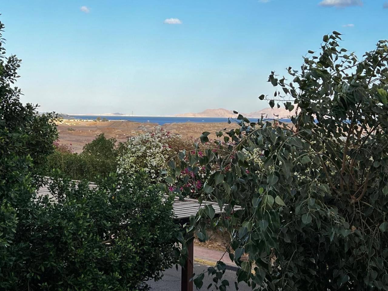 Apartment Ss3408- Two Bedroom Sunterra Sharm el-Sheikh