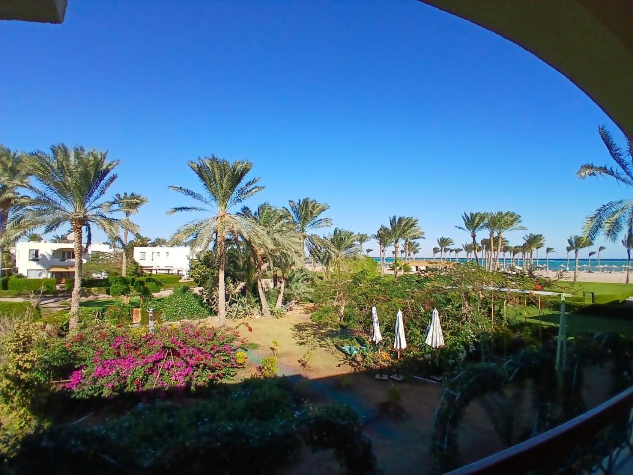 Ss-3431 Aurora Wooden Sharm el-Sheikh
