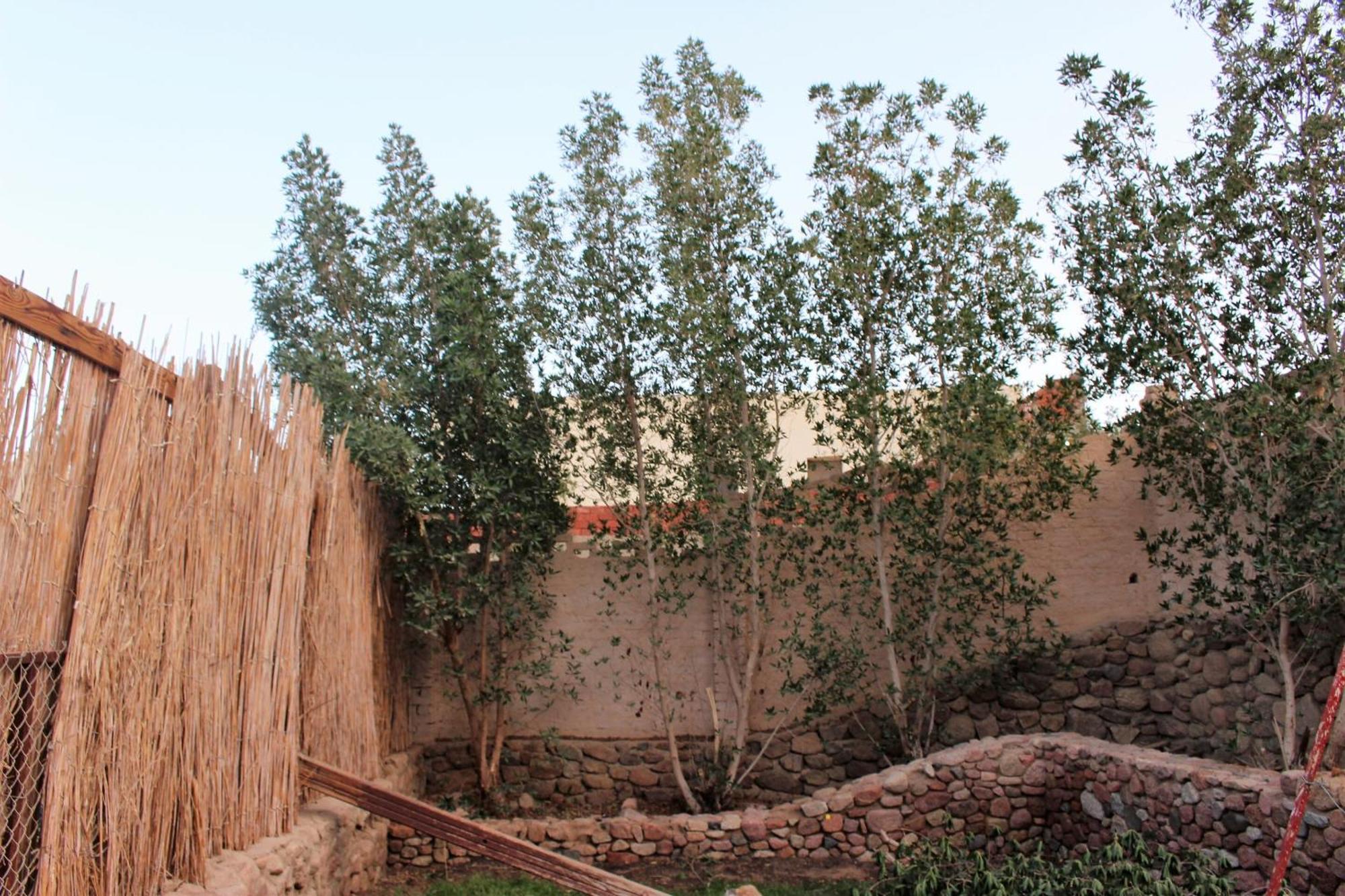 Bed & Breakfast Sinai Old Spices