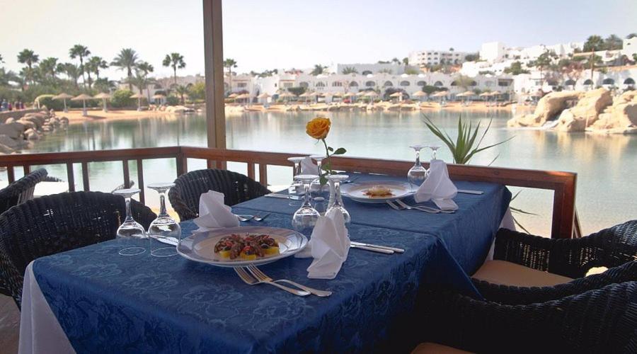 Oasis Domina Coral Bay *