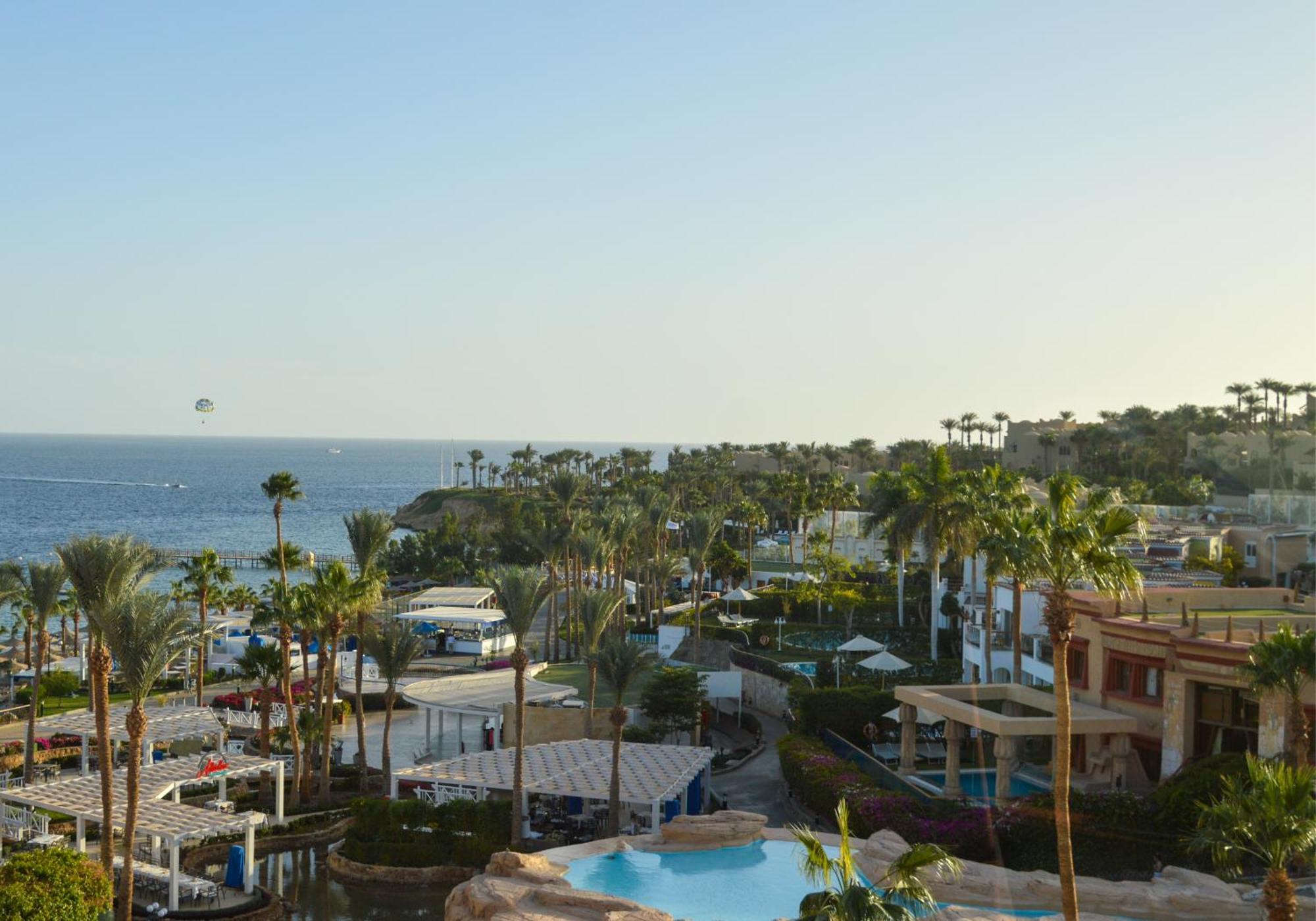 Royal Savoy Sheikh (adults Only)