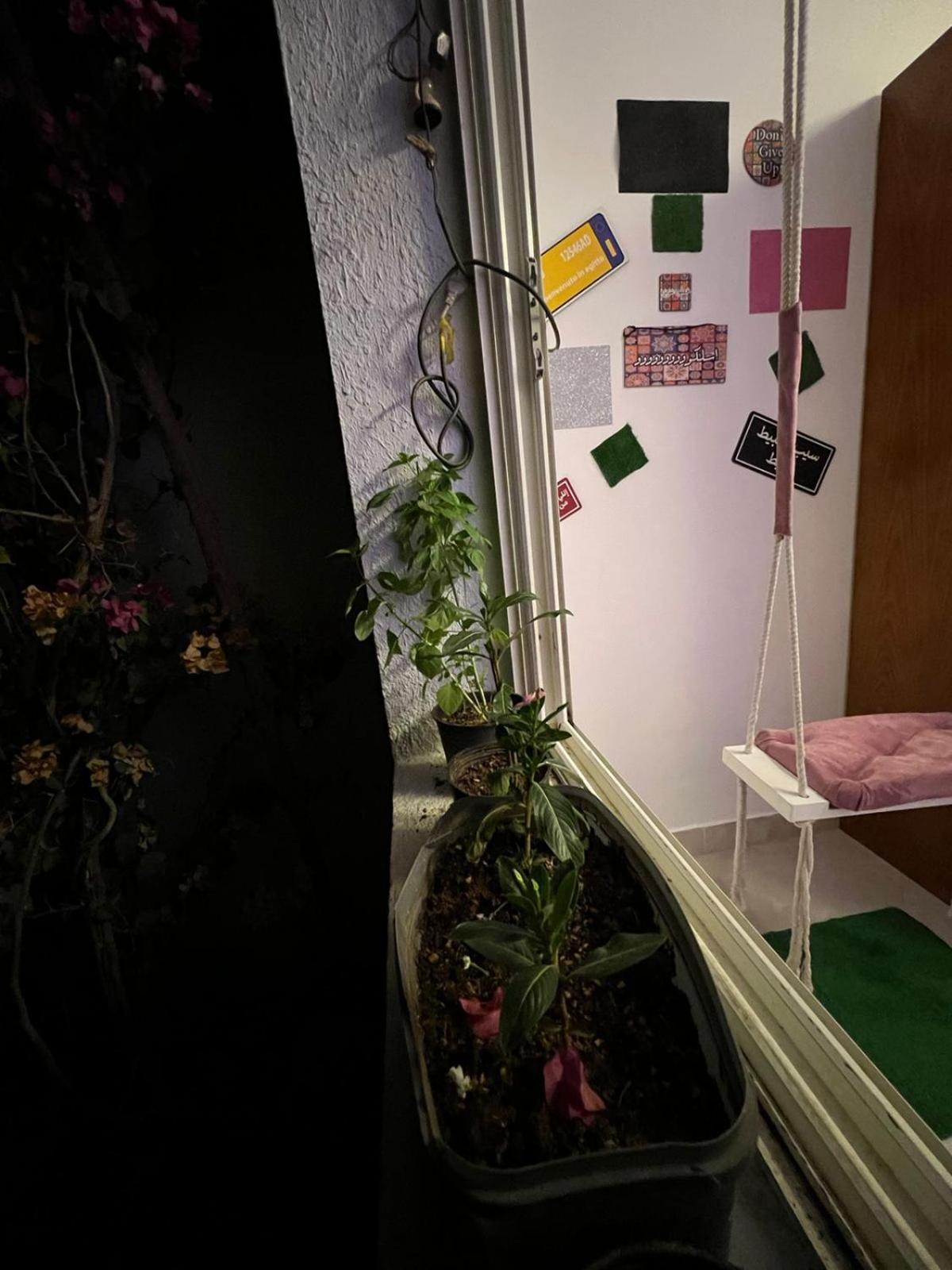 Delta Apartment *
