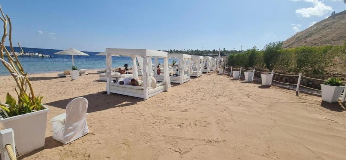 Domina Coral Bay 5* Sharm el-Sheikh