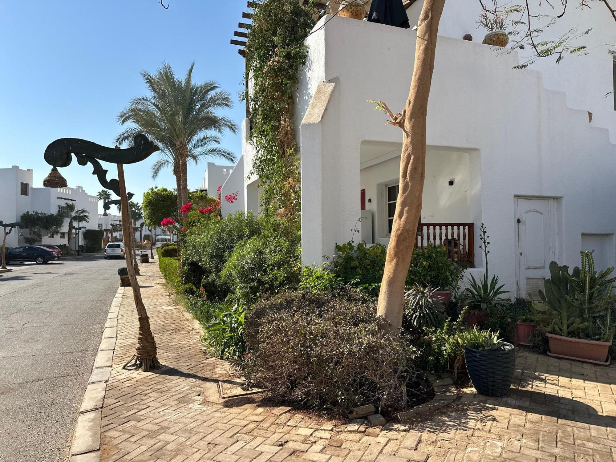Apartment Delta Sharm el-Sheikh
