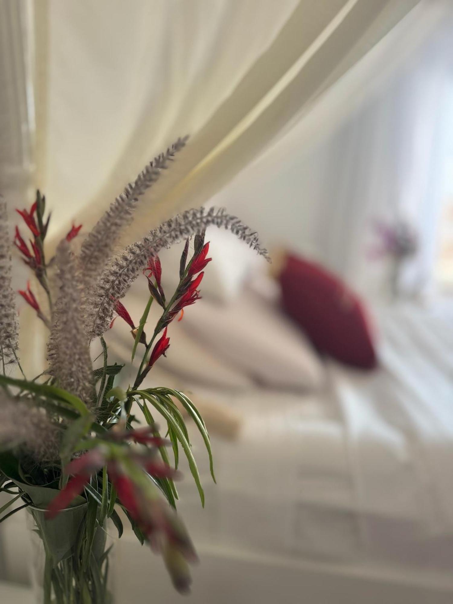 Apartment Elisir Egitto Domina Coral Bay Sharm el-Sheikh
