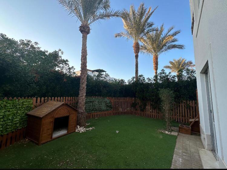 At Sunterra Village, Sheikh Apartment