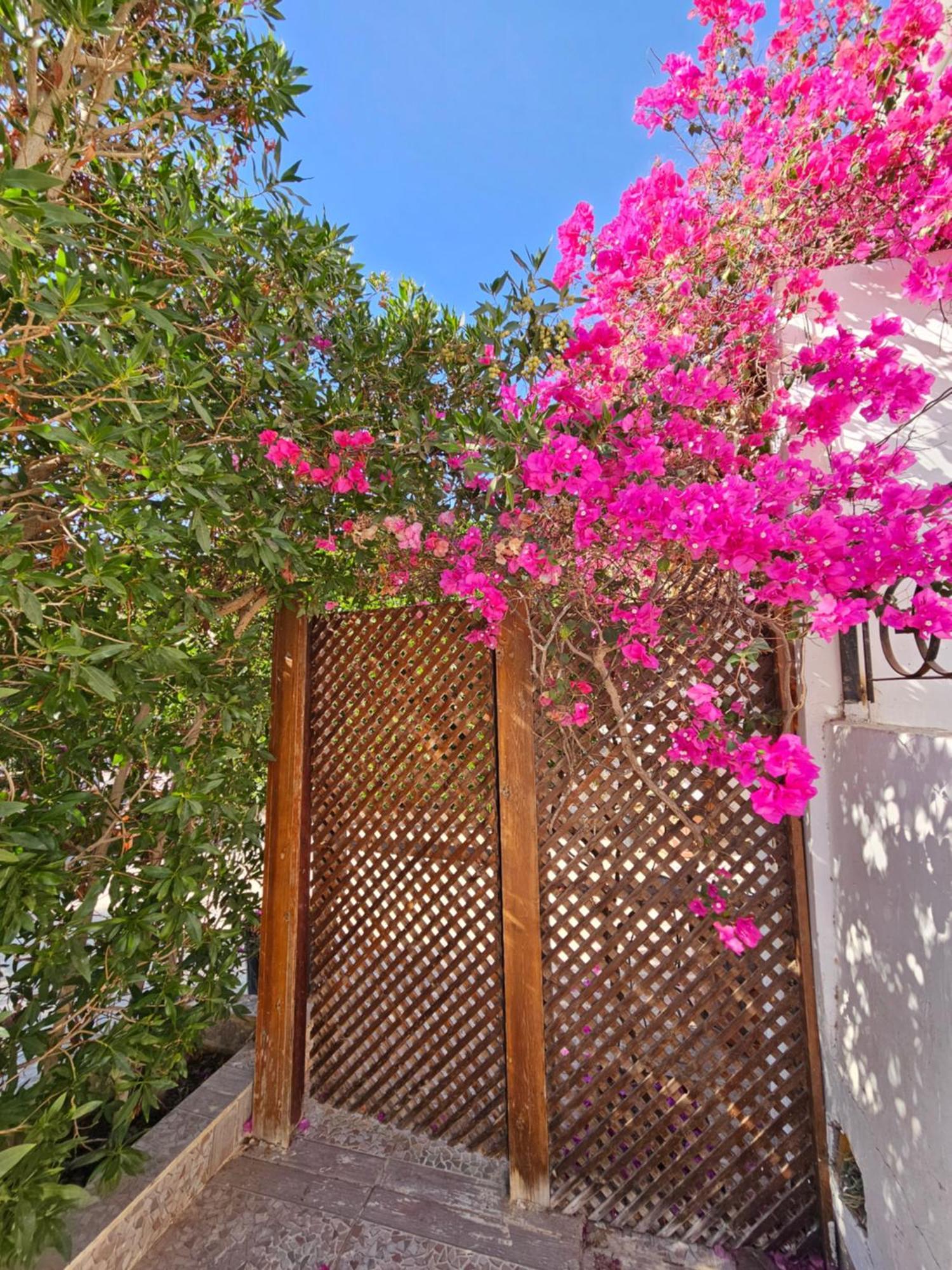 Apartment Hadaba 51d *