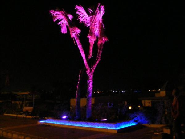 El Kheima * Sharm El Sheikk