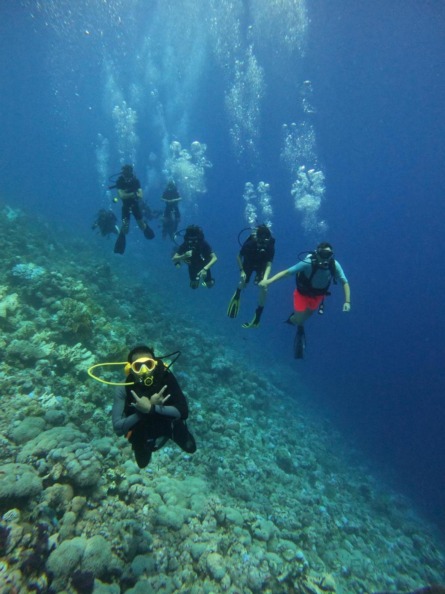 Cinderella Eldawley Dive Center Botel Sharm el-Sheikh