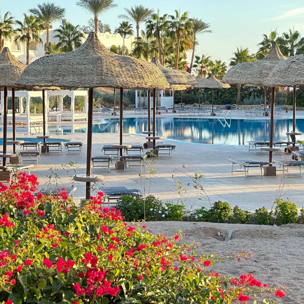 Apartment Luxury At Domina Coral Bay & Casino Sharm el-Sheikh