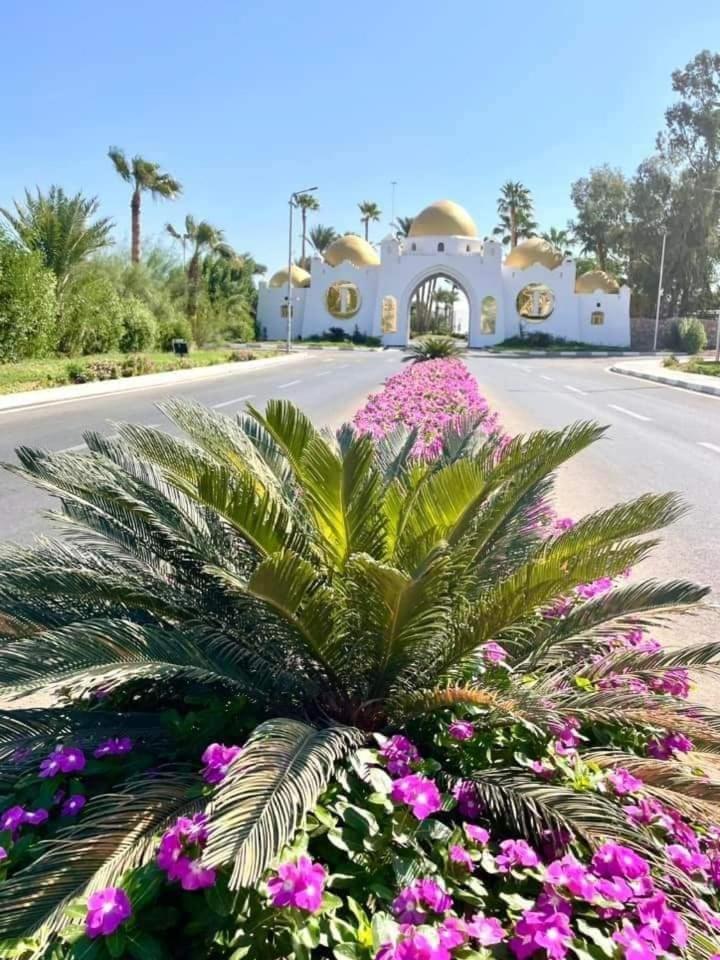 Luxury At Domina Coral Bay & Casino Apartment
