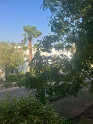 Domina Coral Bay At Aquamarine Mid Center Area Apartment Sharm el-Sheikh
