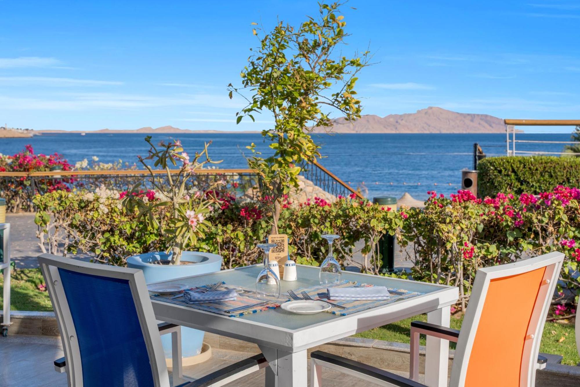 Royal Savoy Sheikh (adults Only) Şarm El-Şeyh